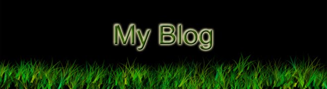 MY Blog