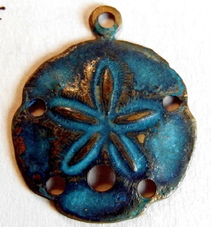 [Sand+Dollar.jpg]