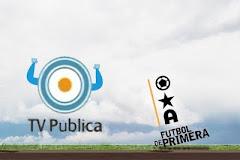 TV Pública vs. TV Privada