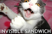 Invisible Sandwish :D