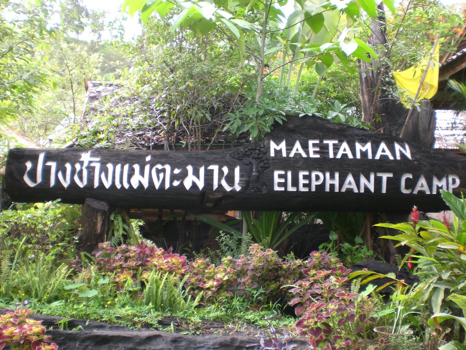 [TAILANDIA+2008+197.JPG]