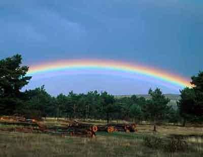 [arcoiris2.jpg]