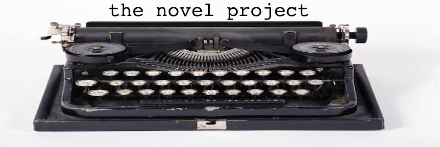 The Novel Project