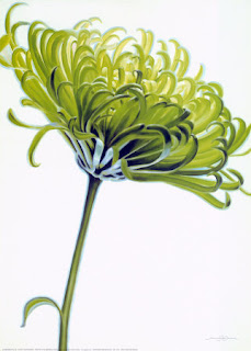 Flores Verdes Flores Verdes