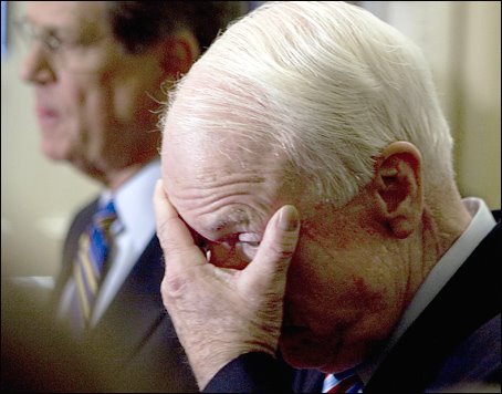 [mccain_peekaboo.jpg]