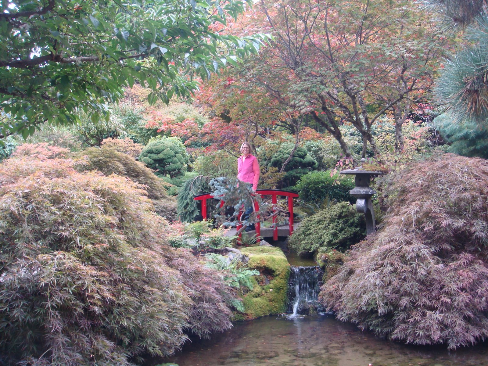 [DSC02811.JPG]