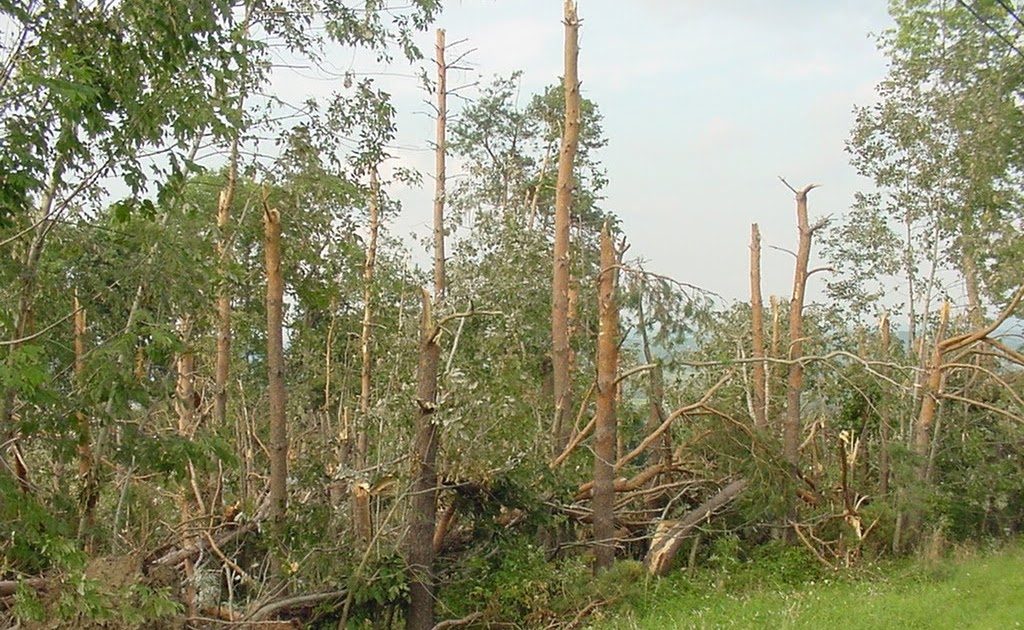 My Commentary and Technical help Pictures of the Randolph NY tornado