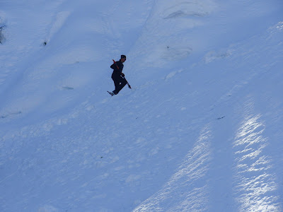 snowshoe running tahoe