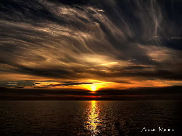 las mejores pornos del ano