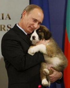 putin+puppy.jpg