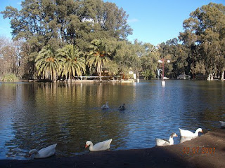 Espacios verdes: el cuidado de los espacios verdes