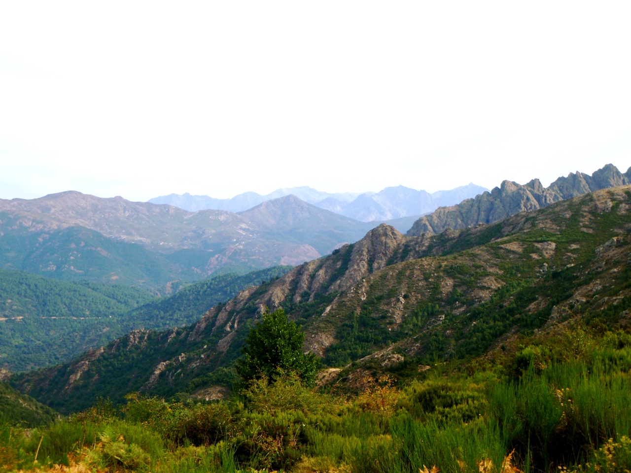 [col+stgeorges5.jpg]