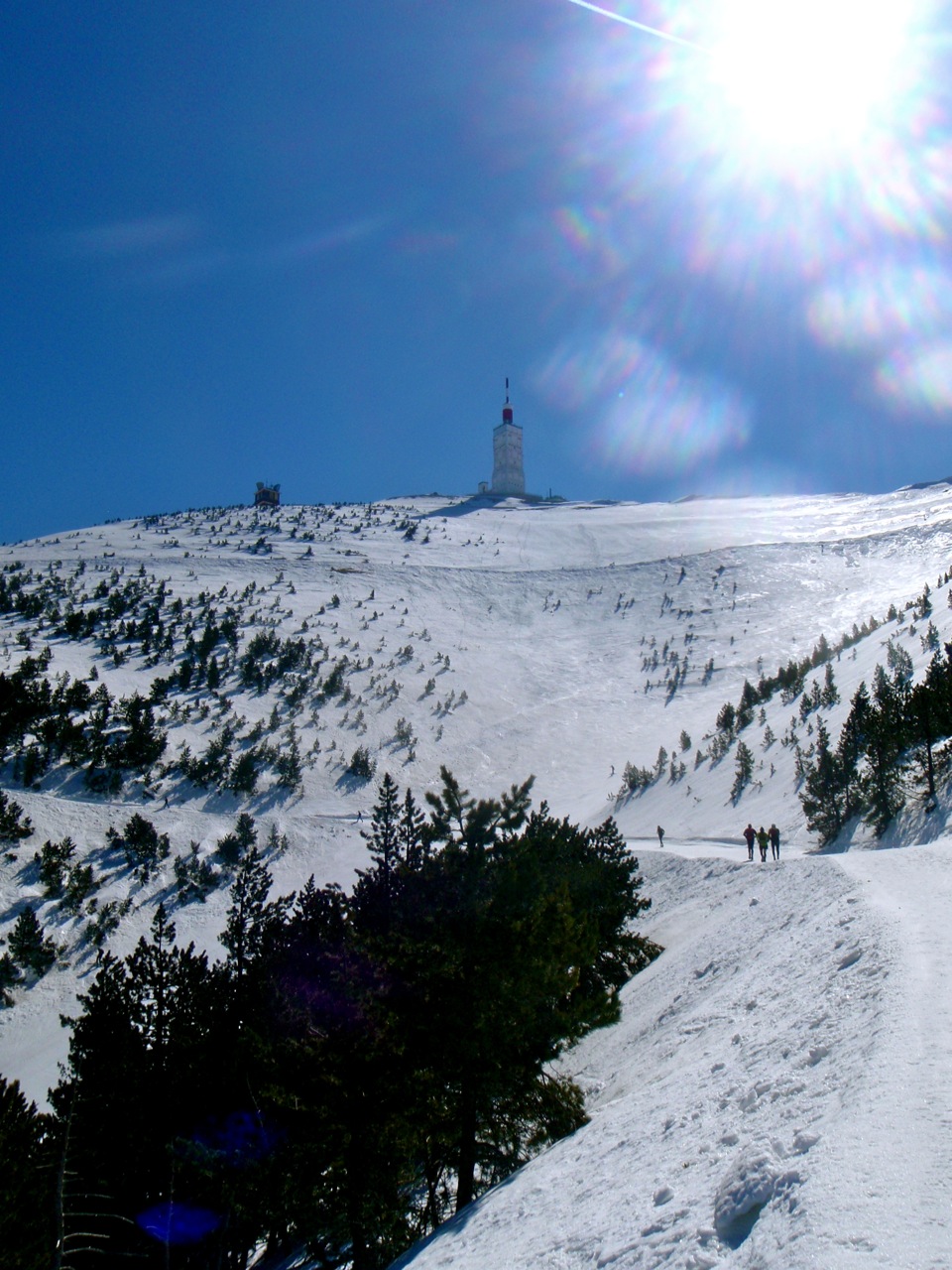 [trailventoux12.jpg]
