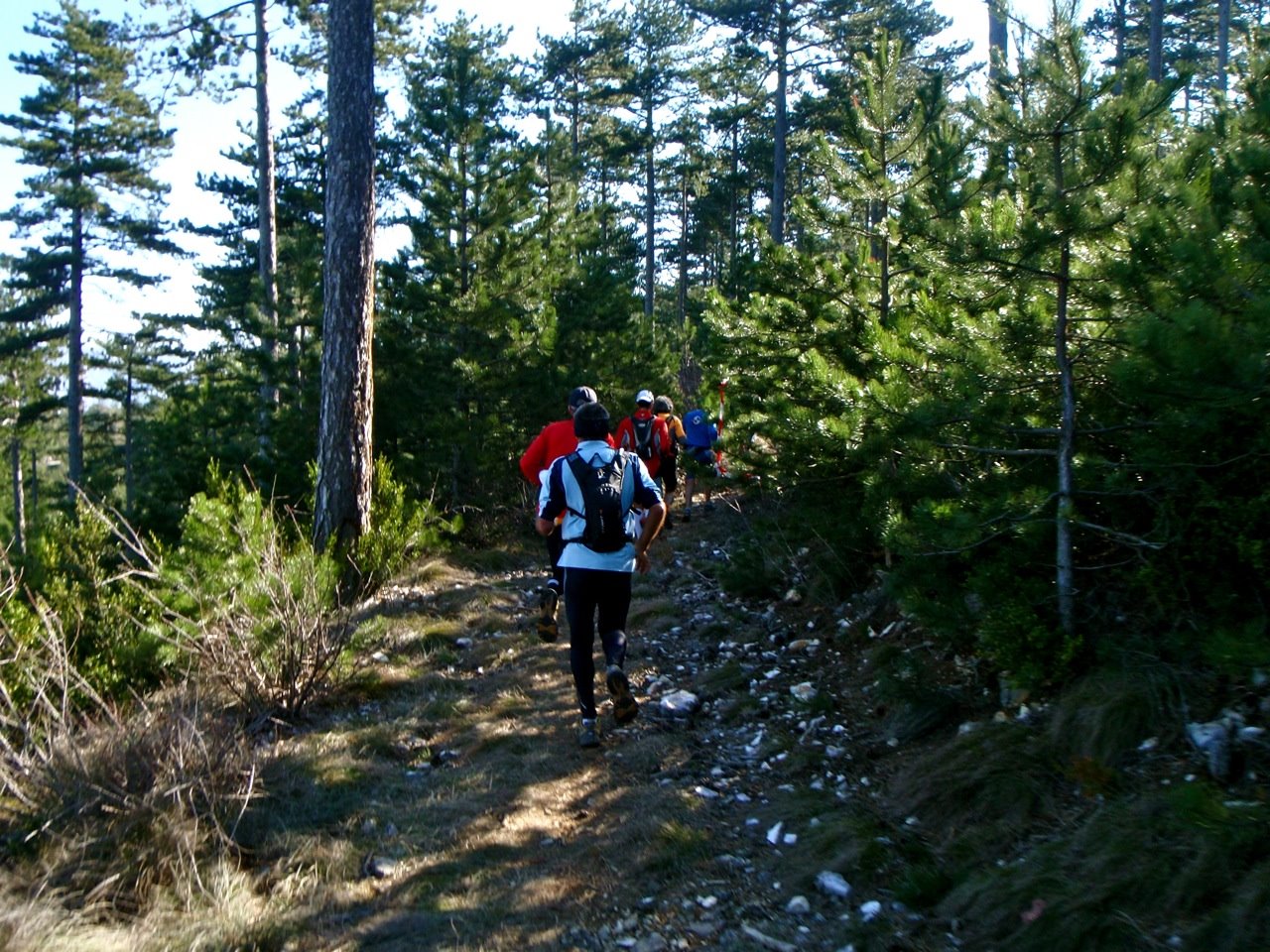 [trailventoux04.jpg]