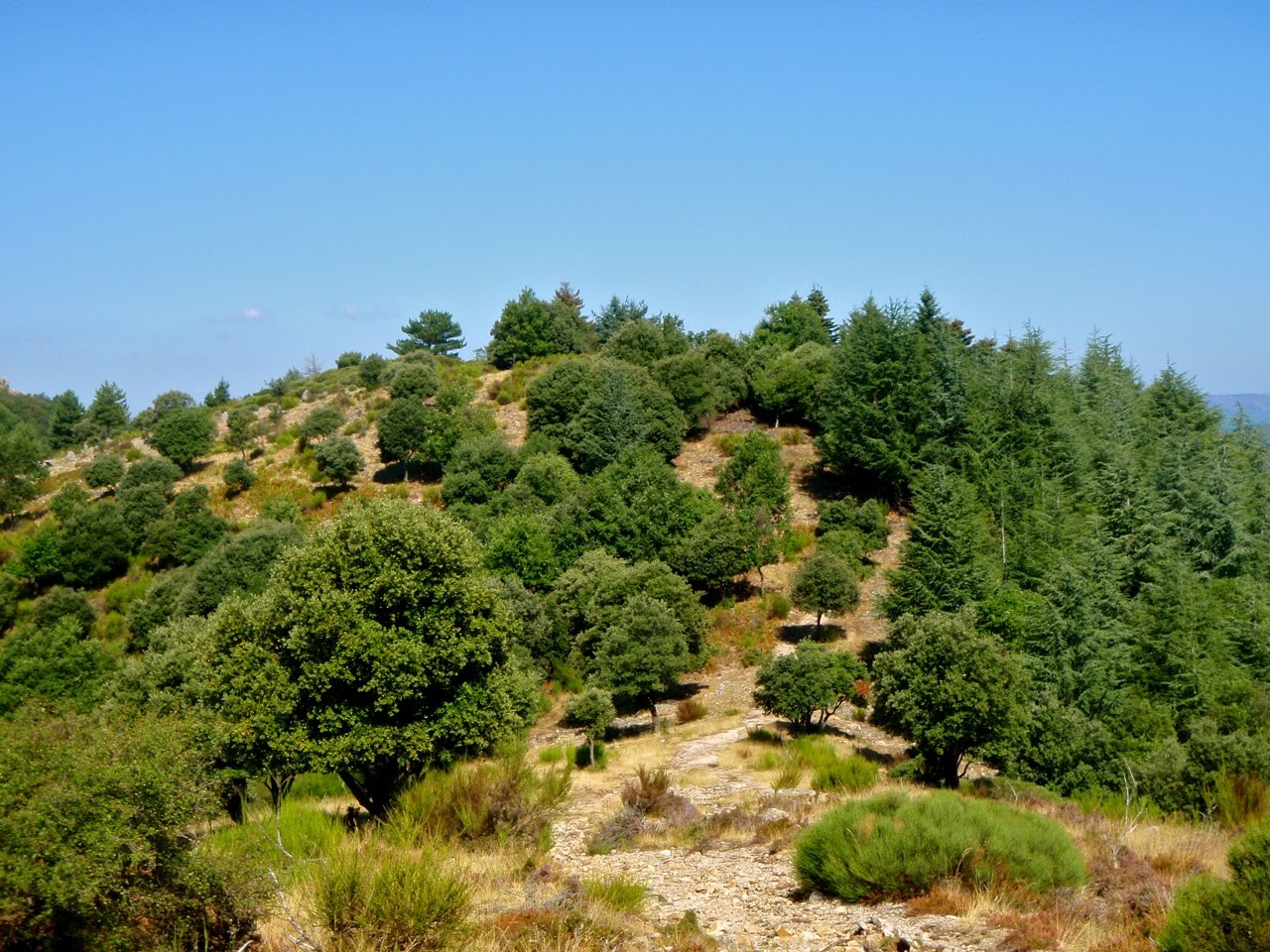 [Vallborgnsol07.jpg]