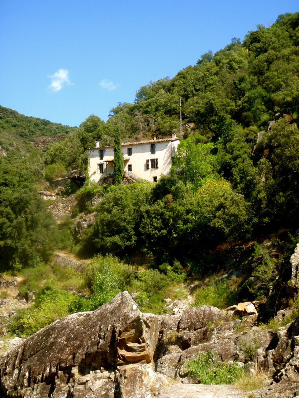 [Vallborgnsol10.jpg]