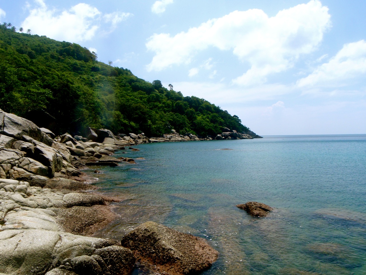 [Phuket_jungle19.jpg]