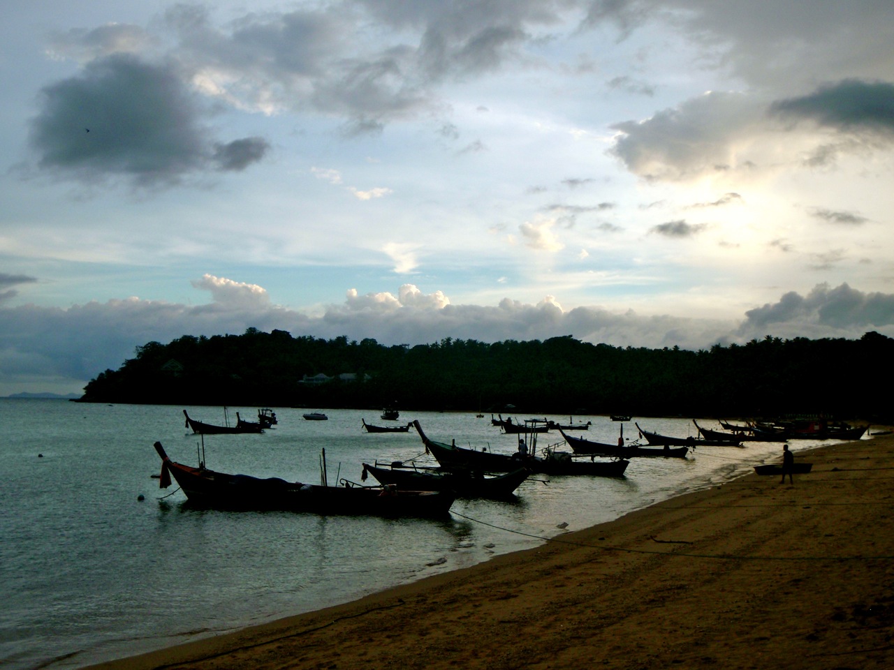 [Phuket_jungleG4.jpg]