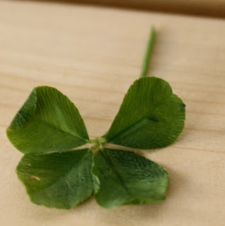 four leaf clover