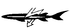 FIBREX