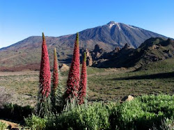 Parque Nacional del Teide