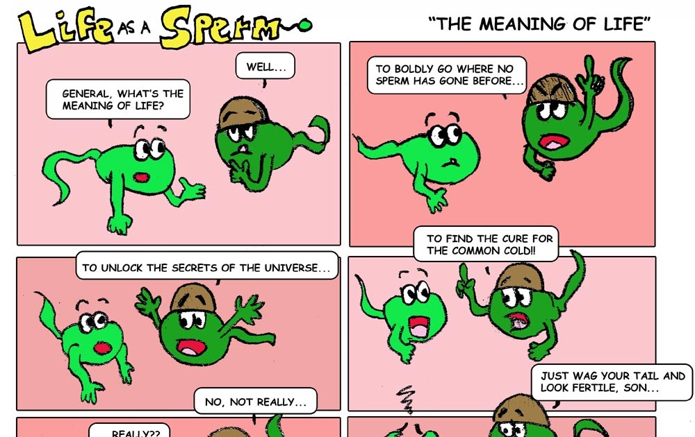 Life as a Sperm Comics- Ever wonder what sperm would say to each other