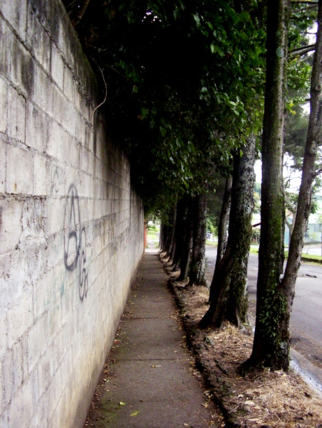 [STA42316.JPG]