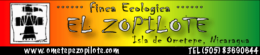 Finca El Zopilote Blog