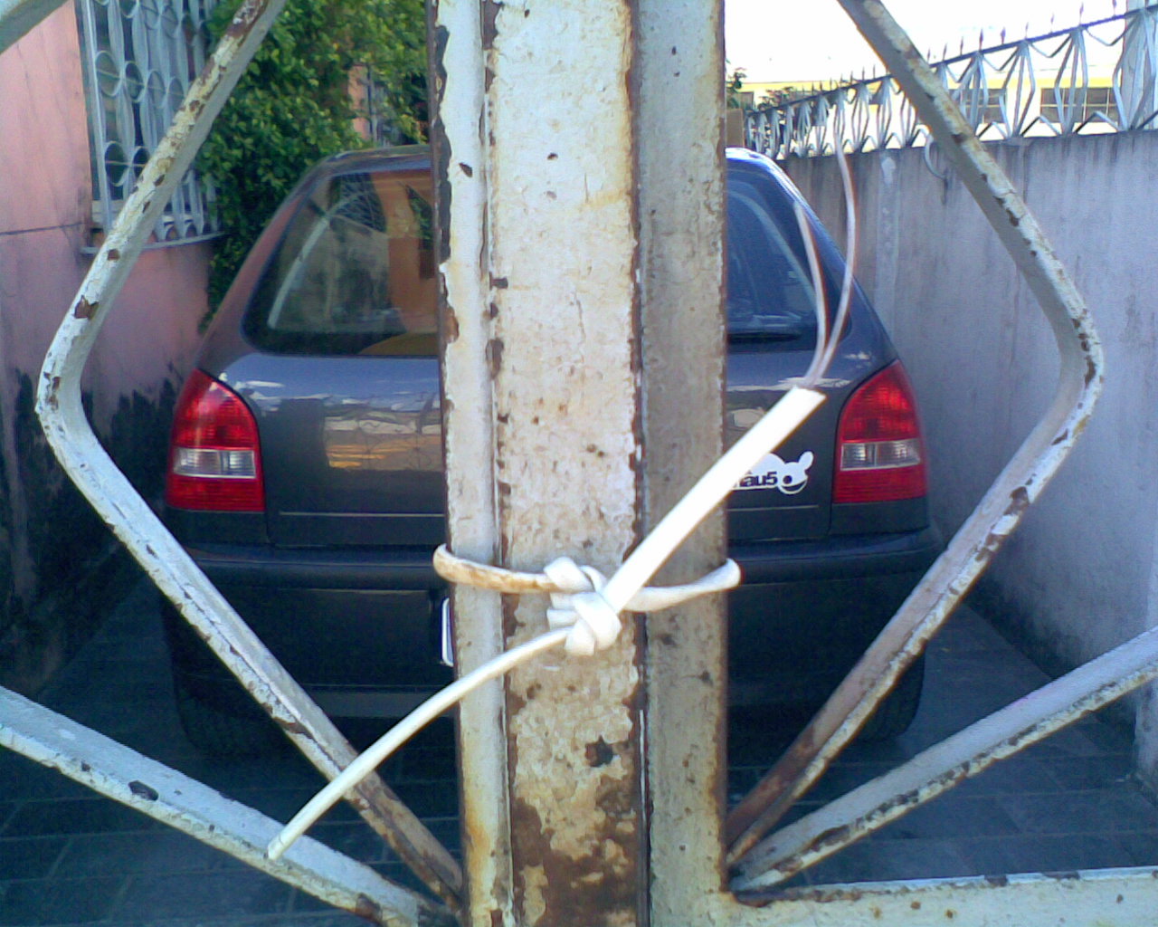 [Celular013.jpg]