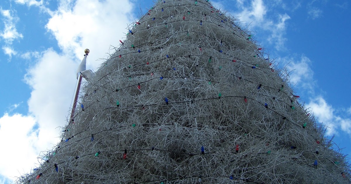 The Daily Photo in and around Chandler, AZ Chandler's Tumbleweed Christmas Tree