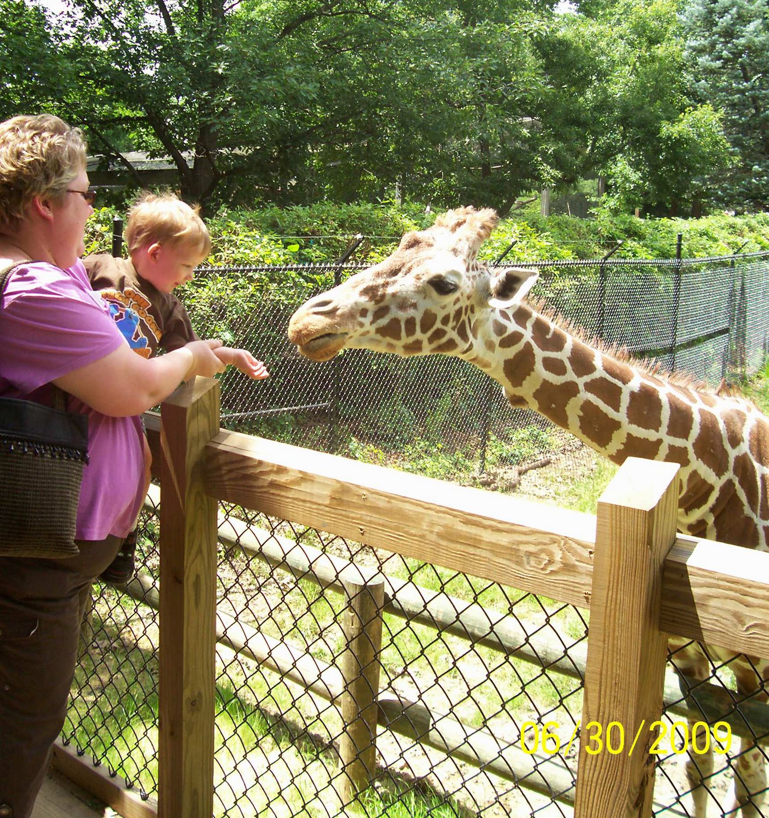 [Nate+feeding+giraffe.JPG]