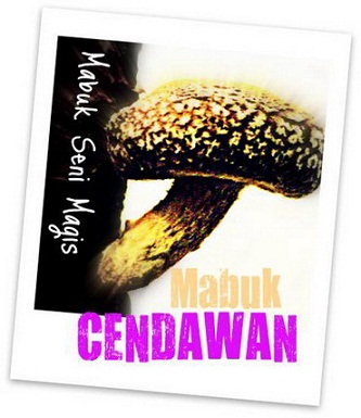 blog mabuk cendawan