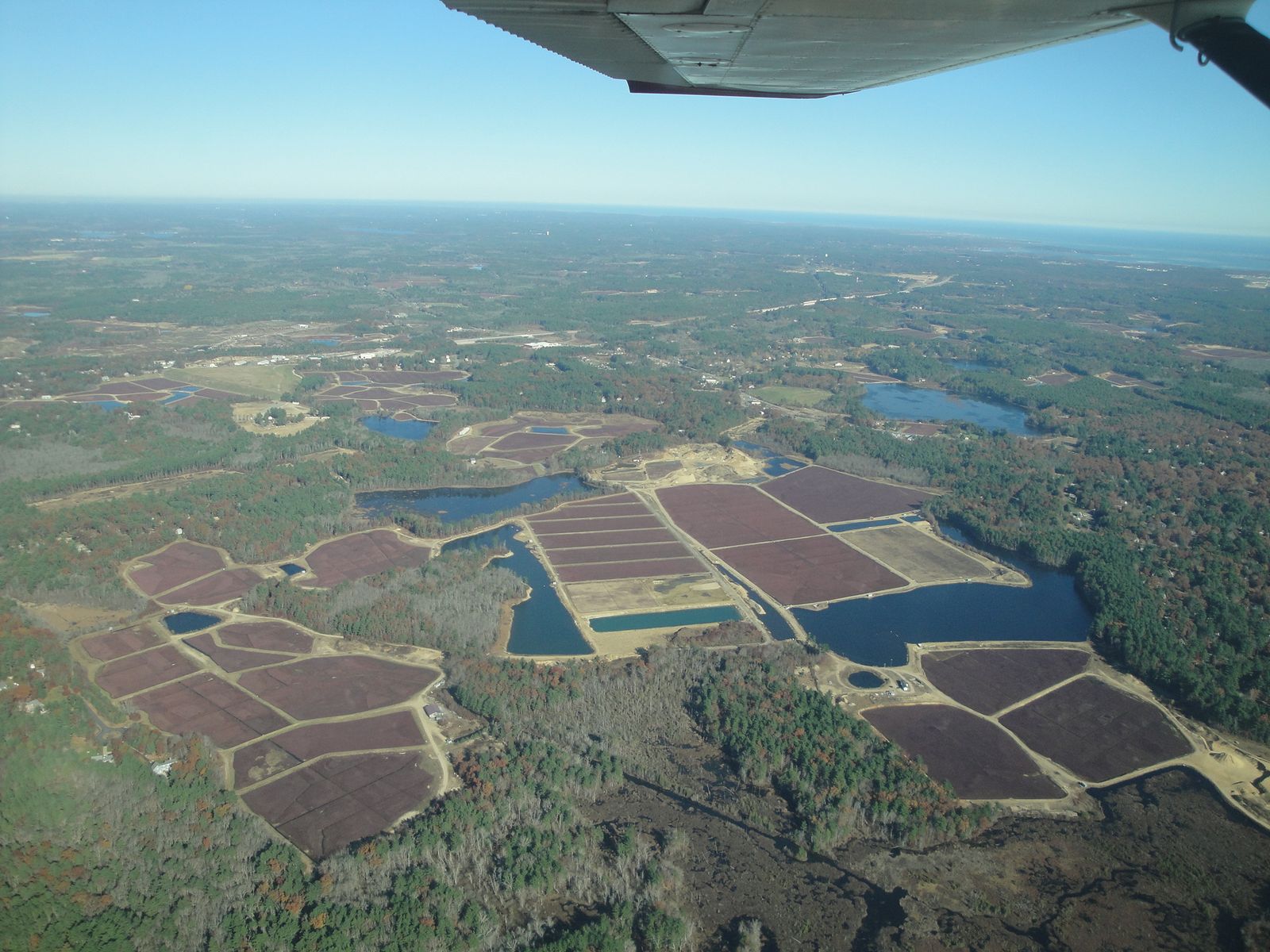 海の向こうに嫁いでみれば ボストン生活徒然日記 飛んでマーサス ビンヤード