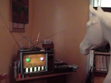 Liberty Horse watches Napapon's Video