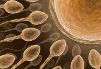 Escorts Indianapolis Babes Shaving Pussy