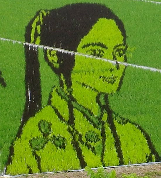 girl-rice-art.jpg