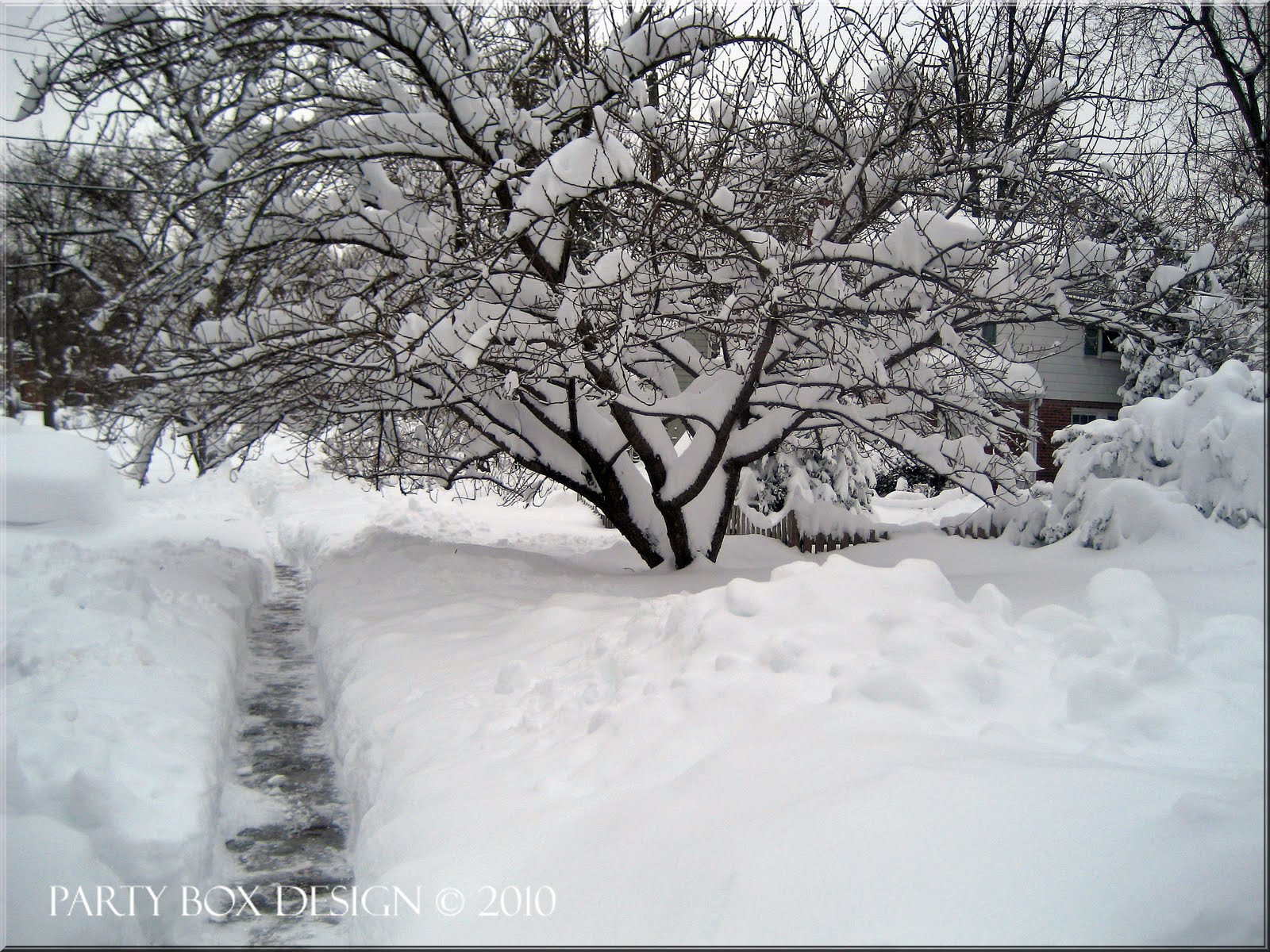 [Snow+Feb+2010+30+inches+total.jpg]