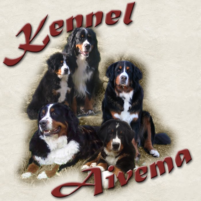 Kennel Aivema