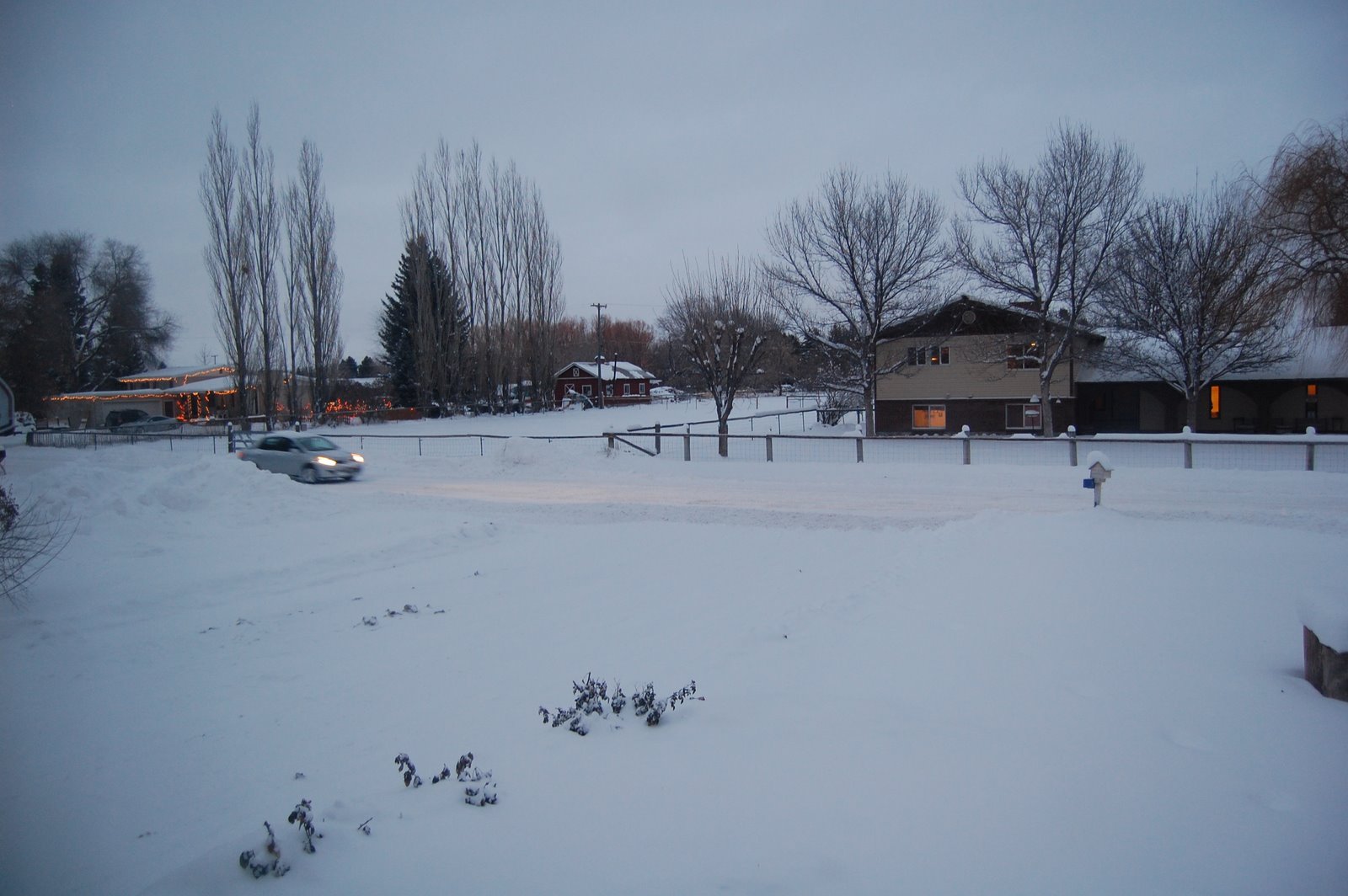 [DSC_0030.JPG]