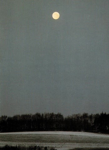 Vfbvn812etupim