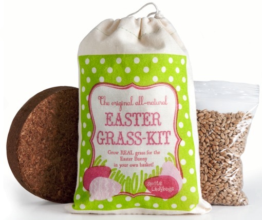 [Easter+Grass+Kit]