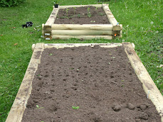 Raised garden beds