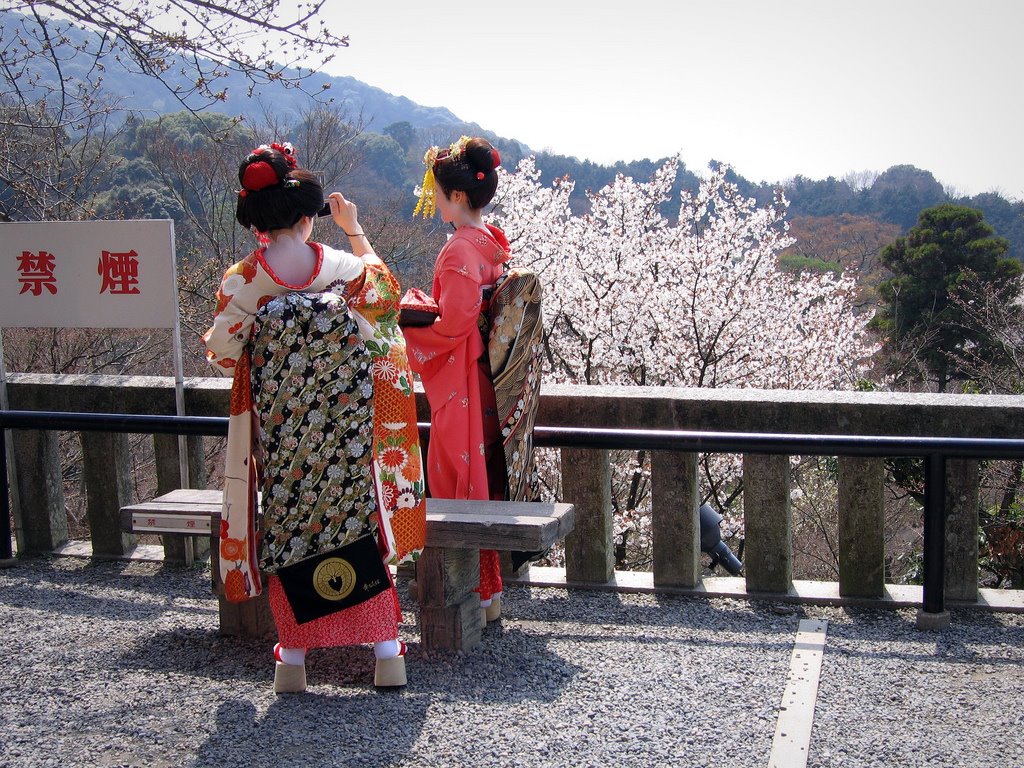 [442000983_a213c62964_b.jpg]