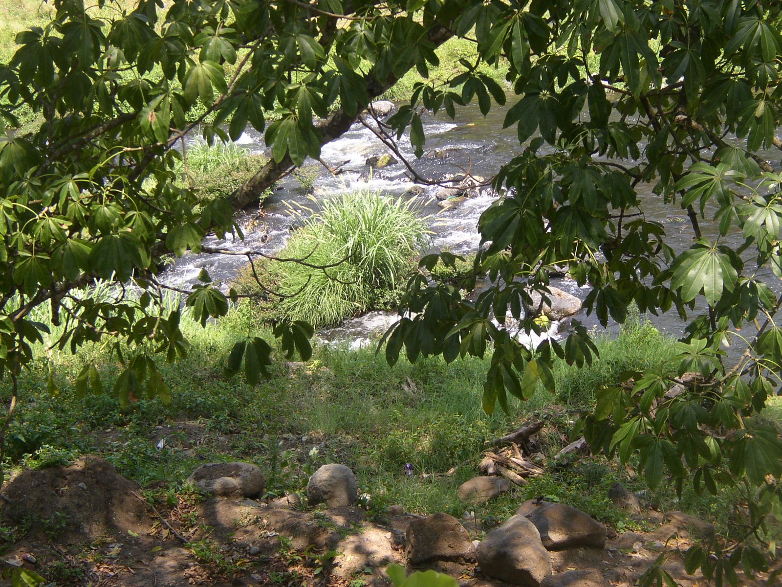 [Santiago+Tuxtla+12.JPG]