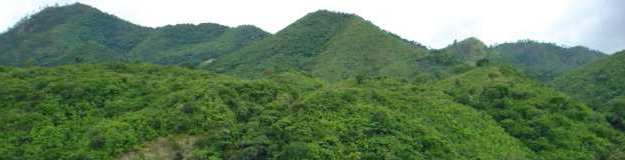 CUIDEMOS EL MEDIO AMBIENTE Y RECURSOS NATURALES