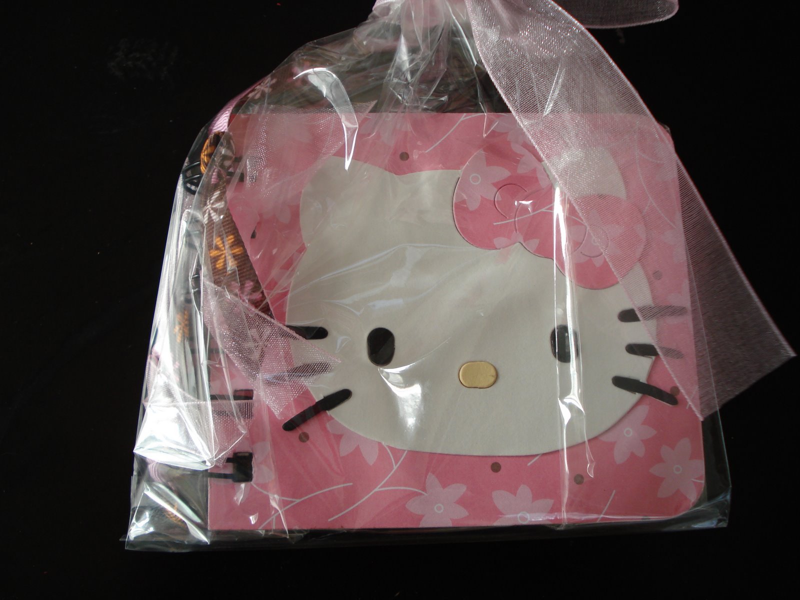 [DSC03009.JPG]