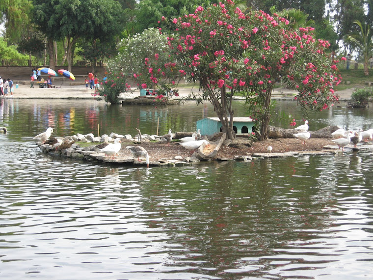 VIVERO SANTIAGO vivero santiago: