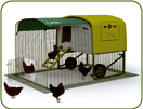 Eglu Cube