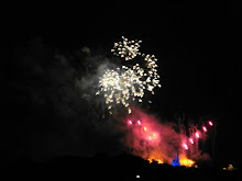 Magic Kingdom Fireworks from Polynesian