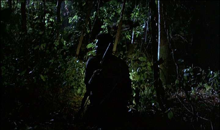 Tropical Malady - film 2004 - AlloCin